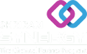 Shriram Synergy — The Channel Partner Program